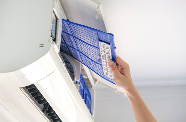 Best Air Duct Sanitizing Services  in Grandville, MI